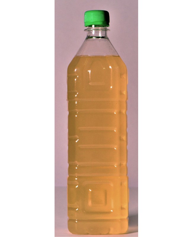 Coconut Oil 1 lt